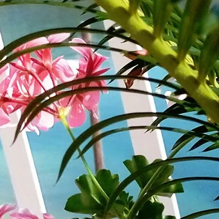 Lovely Place By The Beach, Enjoy Splendid Break *