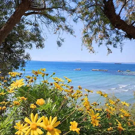 Lovely Place By The Beach, Enjoy Splendid Break Trogir